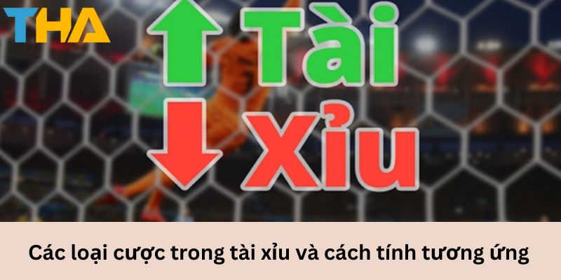 Cách Tính Tài Xỉu Chuẩn Xác Từ Cơ Bản Đến Nâng Cao 4 Các loại cược trong tài xỉu và cách tính tương ứng.