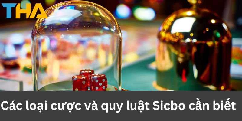 Quy Luật Sicbo - Bí Quyết Nắm Chắc Phần Thắng Cho Tân Thủ 3 Các loại cược và quy luật Sicbo cần biết