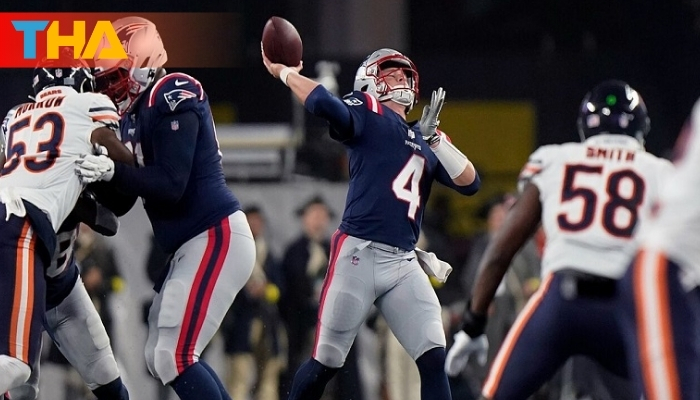 Cá Cược Bóng Bầu Dục - Thắng Lớn Cùng NFL Hấp Dẫn 2025 3 Cá độ bóng bầu dục