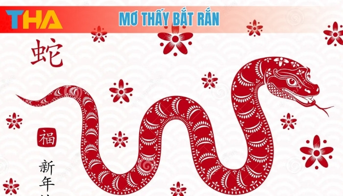 Mơ Thấy Bắt Rắn Giải Mã Điềm Báo và 15 Cặp Số May Mắn 4 Mơ thấy bắt rắn