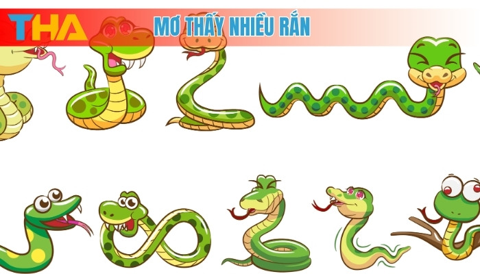 Mơ Thấy Nhiều Rắn Giải Mã Điềm Báo và 30 Con Số May Mắn 4 Mơ thấy nhiều rắn