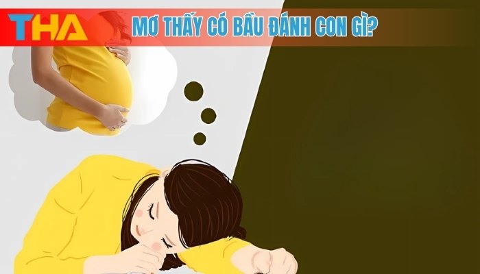 Mơ Thấy Bà Bầu Giải Mã Giấc Mơ và 10 Cặp Số May Mắn 4 Mơ thấy bà bầu đánh con gì?