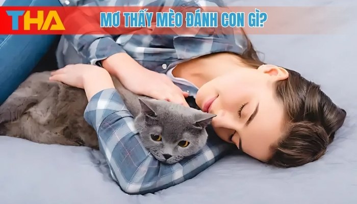 Giải Mã Giấc Mơ Thấy Mèo Và 8 Con Số May Mắn 4 Mơ thấy mèo đánh con gì?