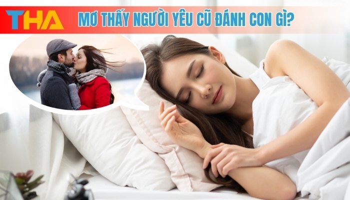 Mơ Thấy Người Yêu Cũ Giải Mã Giấc Mơ và Điềm Báo Số Học 4 Mơ thấy người yêu cũ đánh con gì?