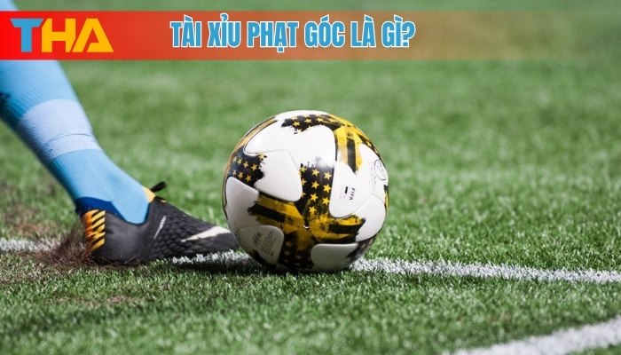 Tìm Hiểu Toàn Diện Về Tài Xỉu Phạt Góc Trong Bóng Đá 4 Lưu ý khi chơi tài xỉu phạt góc